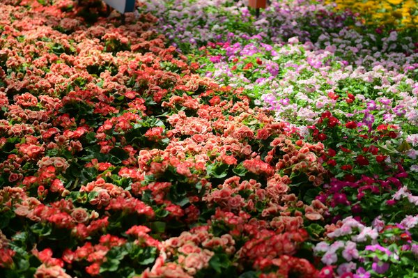 Hoe creëer je een minimalistische inrichting?